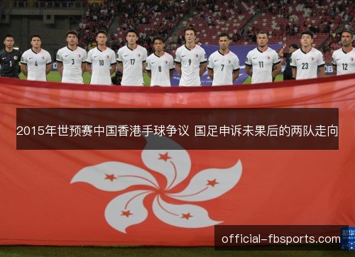 2015年世预赛中国香港手球争议 国足申诉未果后的两队走向 2015年世预赛中国香港手球争议 国足申诉未果后的两队走向